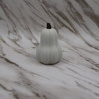 Butternut pompoen