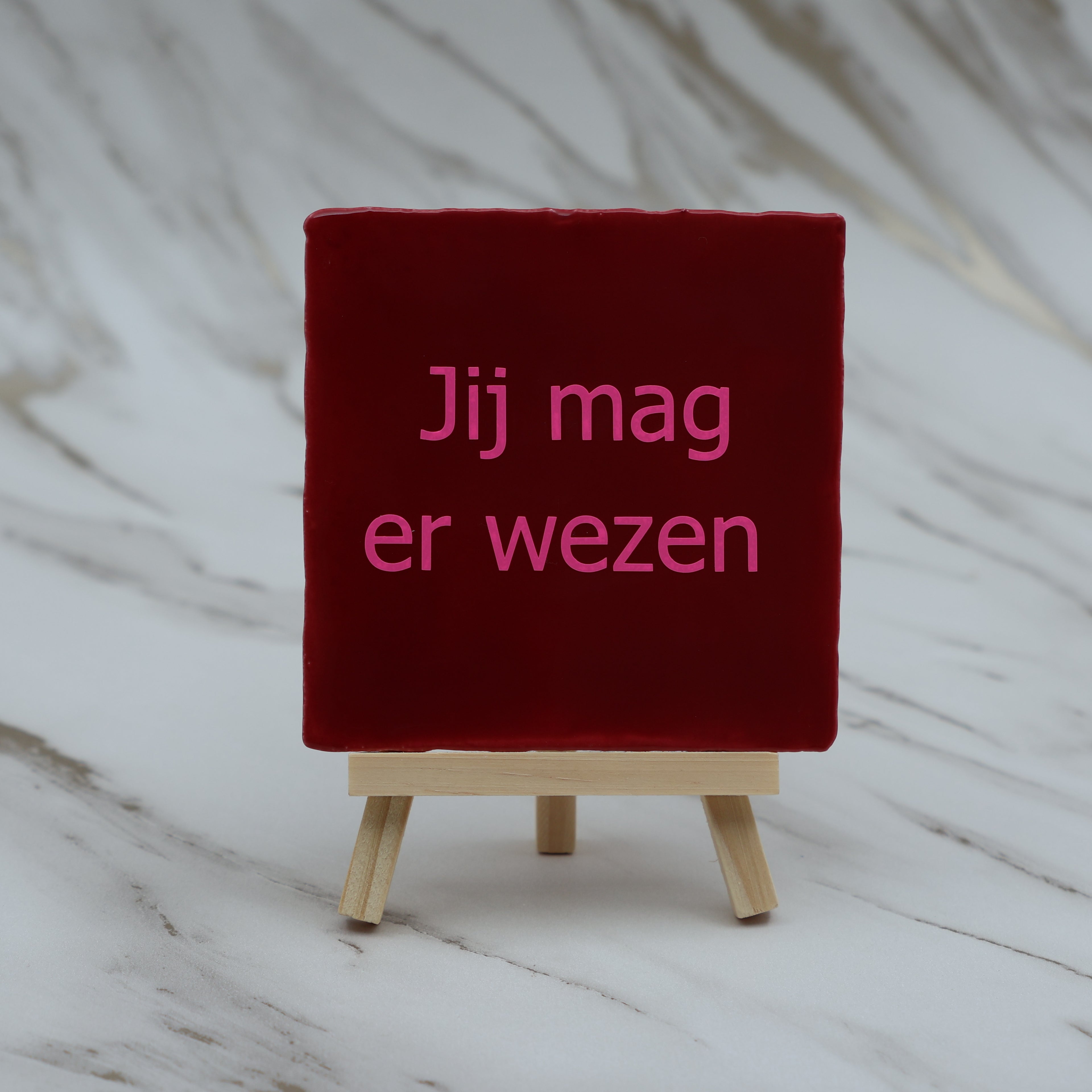 Tegeltje Jij mag er wezen