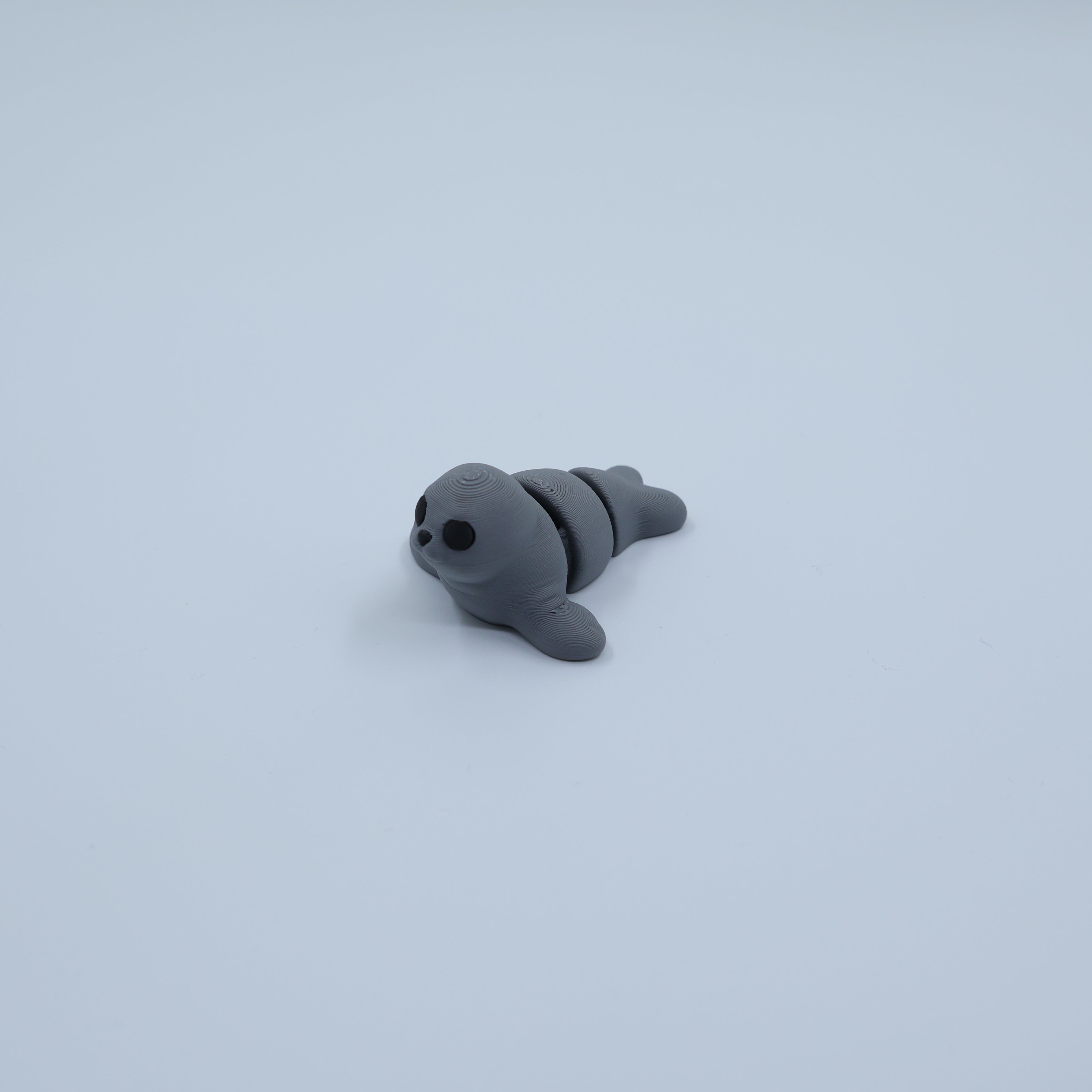 Zeehond