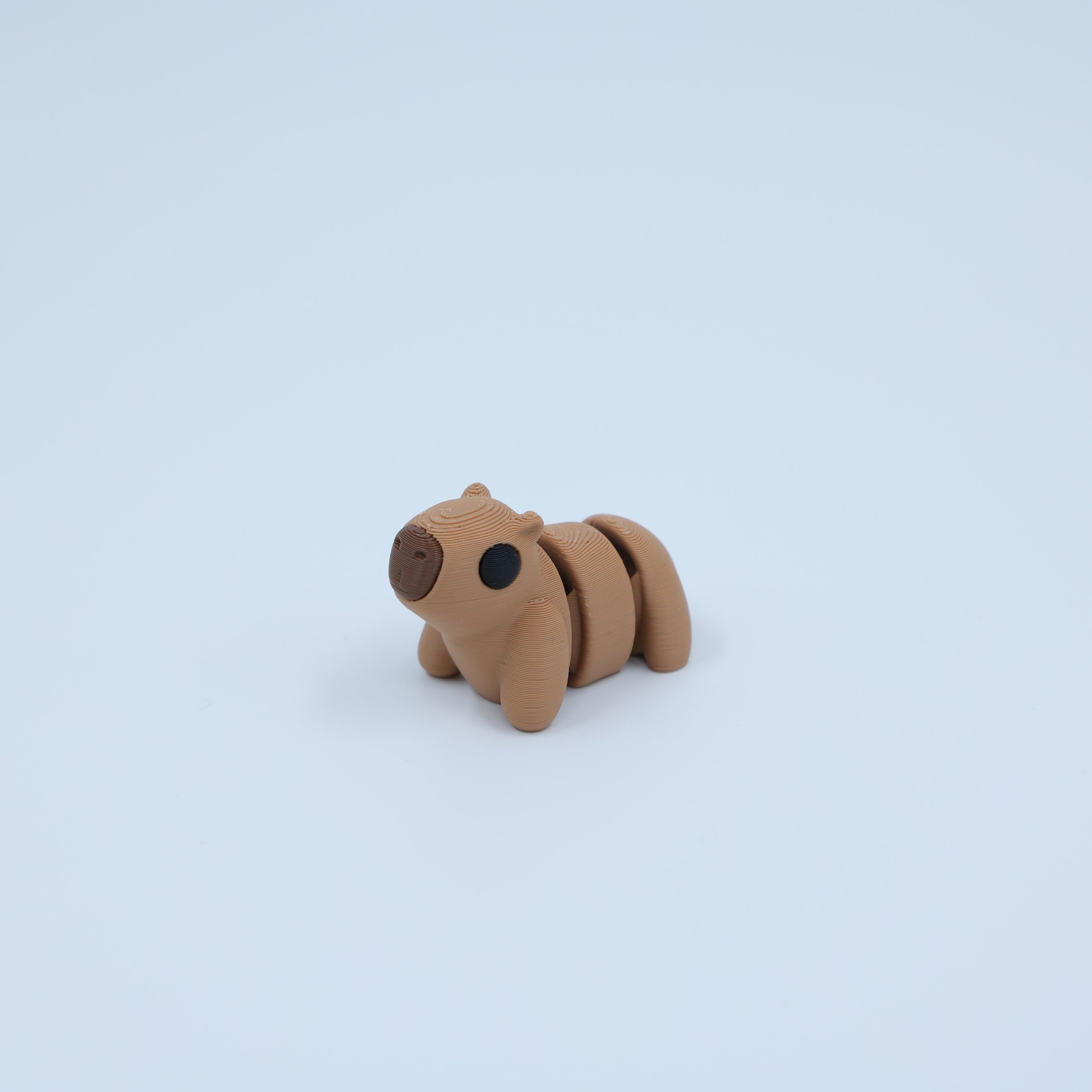 Capybara