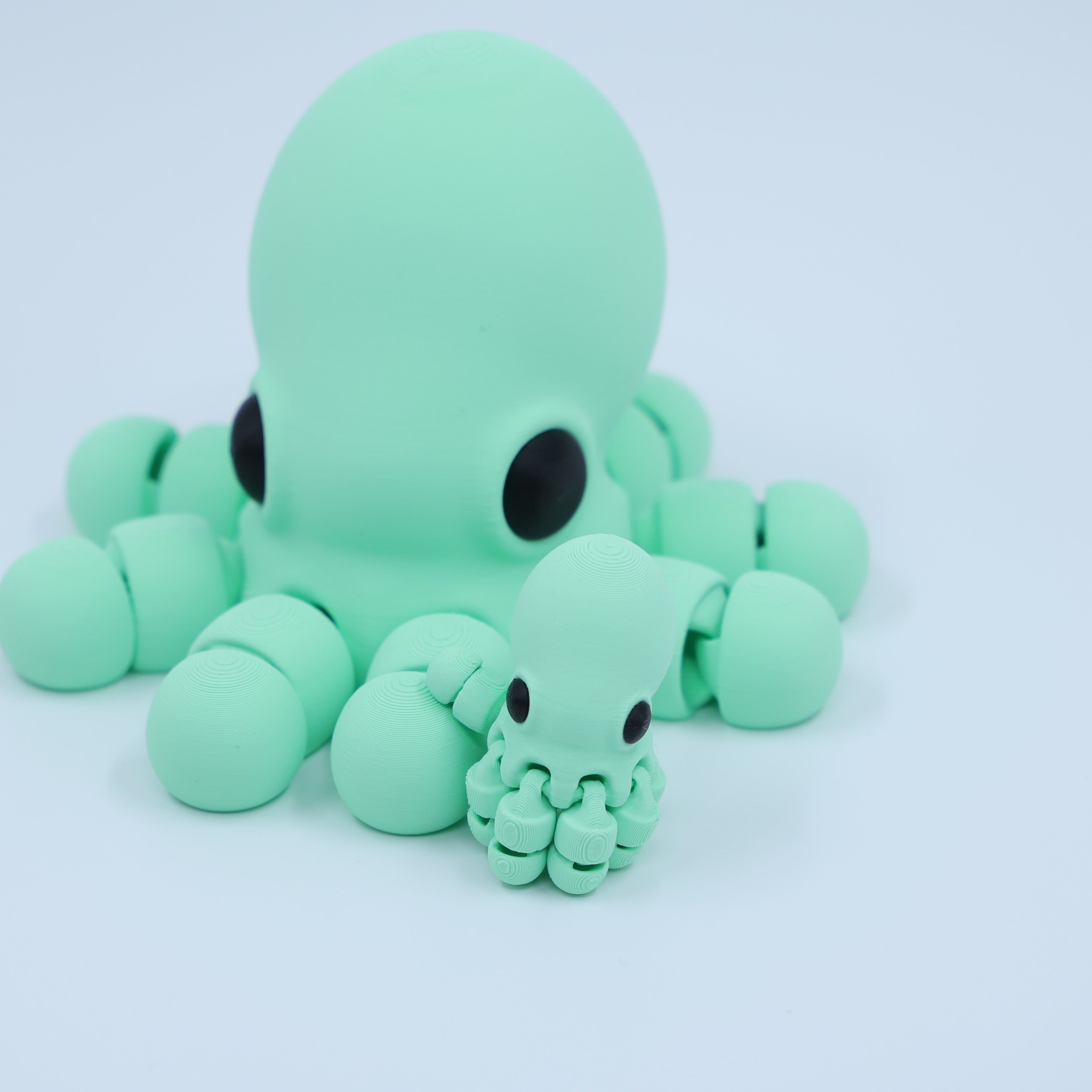 Octopus